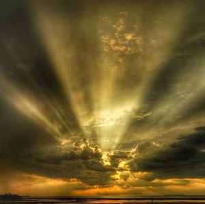 Meet your Posher, Brandy